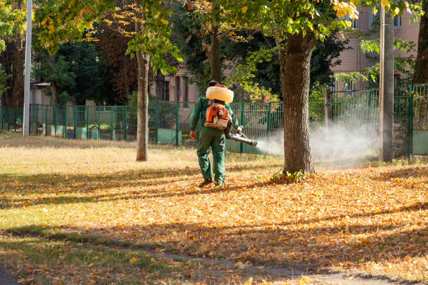 Best Cockroach Control Services  in Midway, AR