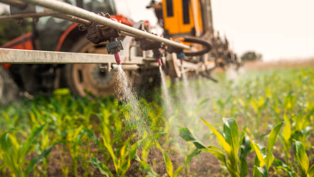 Best Wildlife Control Services  in Midway, AR